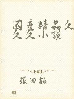 国产精品久久久久久小说