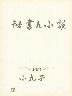 秘书h小说