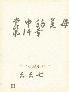 掌中的美母版主第14章