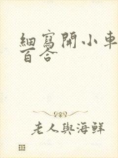 细写开小车车的百合