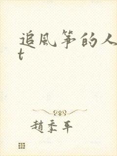 追风筝的人txt