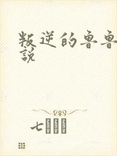 叛逆的鲁鲁修小说