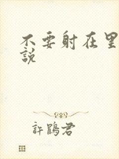 不要射在里面小说