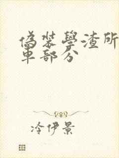 伪装学渣所有开车部分