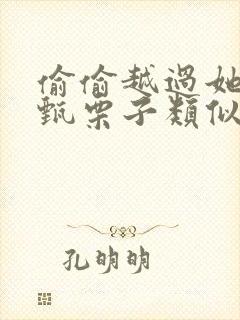 偷偷越过她by甄栗子类似小说