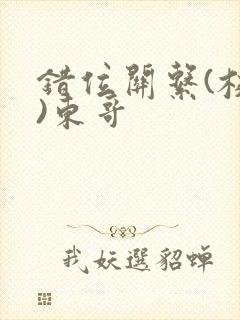 错位关系(校园)东哥