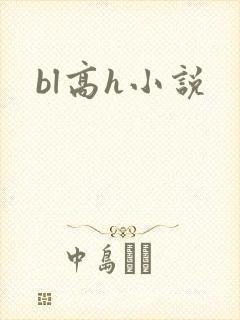 bl高h小说