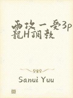 两攻一受3p双龙H调教