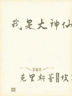 我是大神仙小说