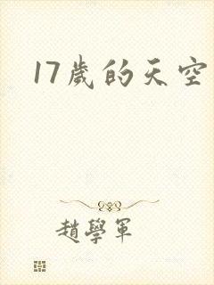 17岁的天空