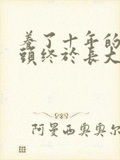 养了十年的小丫头终于长大了