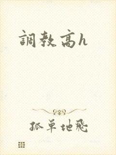 调教高h