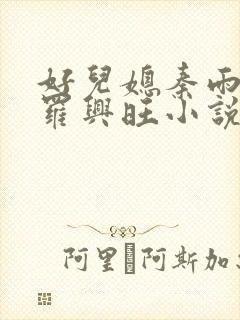 好儿媳秦雨罗明罗兴旺小说