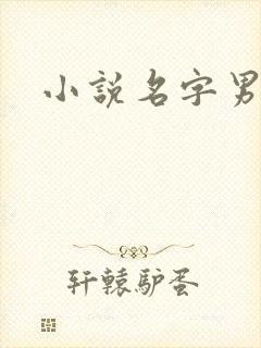 小说名字男生