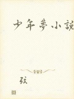 少年梦小说