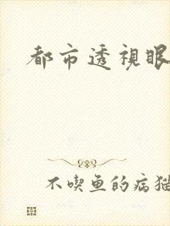 都市透视眼