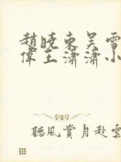 赵晓东吴雪晴郑伟王潇潇小说