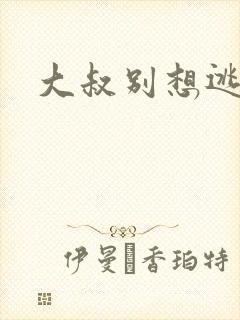 大叔别想逃