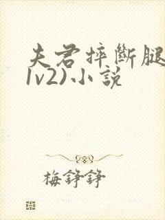 夫君摔断腿后(1v2)小说