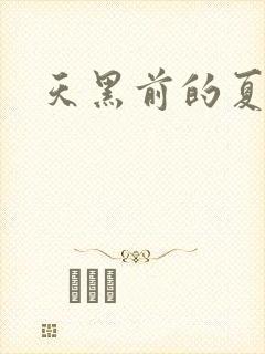 天黑前的夏天