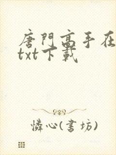 唐门高手在异世txt下载