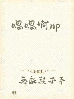 嗯嗯啊np