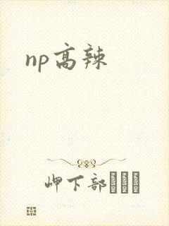 np高辣
