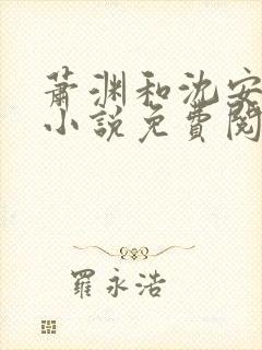 萧渊和沈安安的小说免费阅读