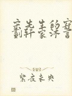 宋先生的宠妻计划轩家沐言