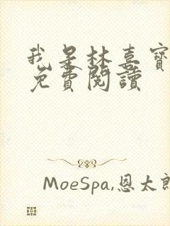 我是林喜宝小说免费阅读