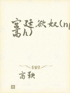 宫廷欲奴(np高h)