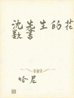 沈先生的花式调数书