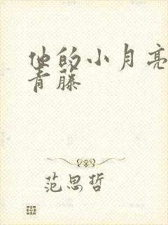 他的小月亮by青藤