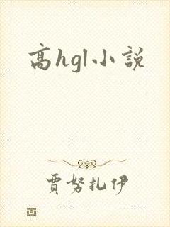 高hgl小说