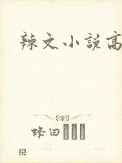 辣文小说高h