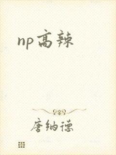 np高辣