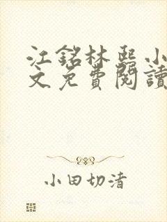 江铭林熙小说全文免费阅读