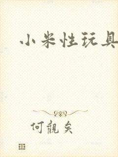 小米性玩具日记