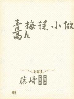 青梅从小做到大高h