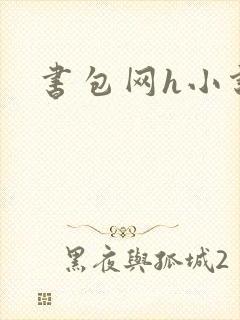 书包网h小说