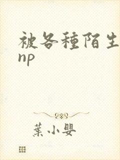 被各种陌生人 np