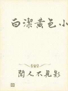 白洁黄色小说