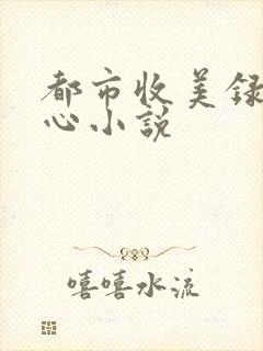 都市收美录宁素心小说