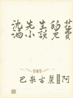 沈先生的花式调酒小说免费阅读