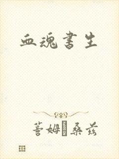 血魂书生