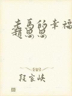 老马的幸福生活赵思思