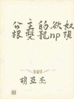 公主的欲奴h四根双龙np视频