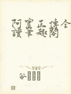 阿宾正传全文阅读笔趣阁