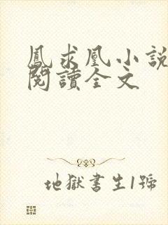 凤求凰小说免费阅读全文