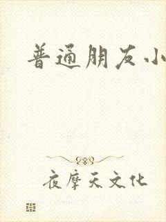 普通朋友小说